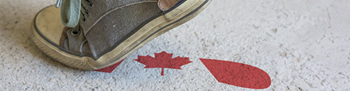 Bourses d'Études Canada : Les Bourses Disponibles